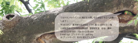 񋟂̂肢