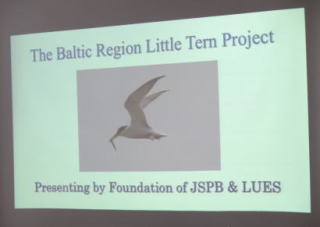 The Baltic Region Little Tern Project