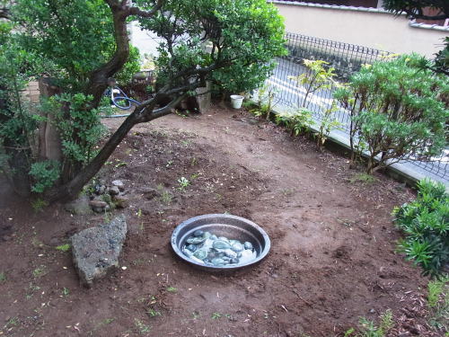水場の完成。