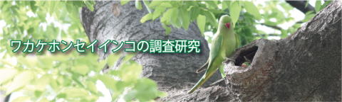 JPzZCCR̃y[W