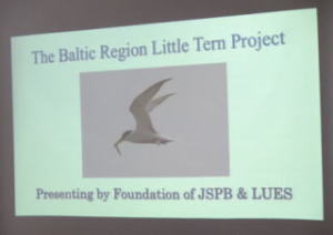 The Baltic Region Little Tern Project