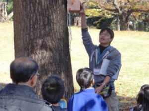 巣箱架け